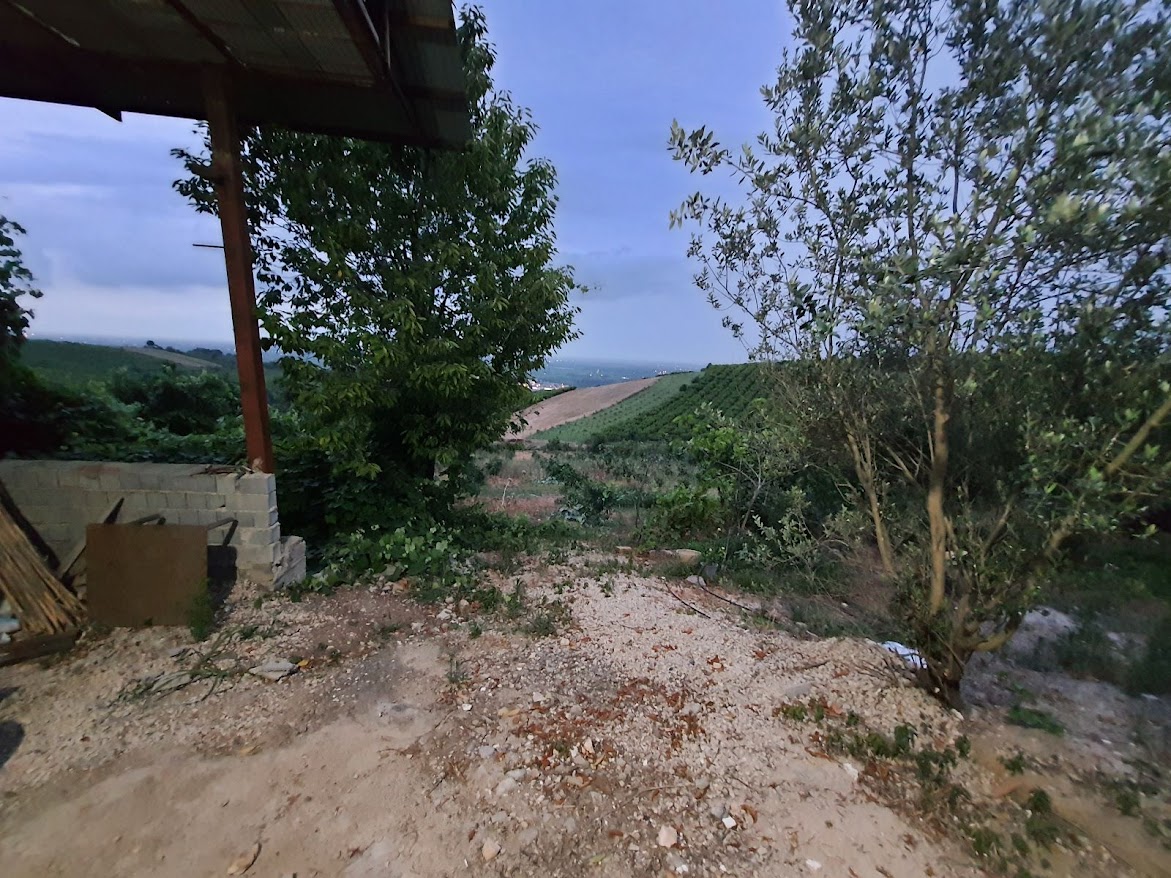 فروش زمین باغی-ویلایی