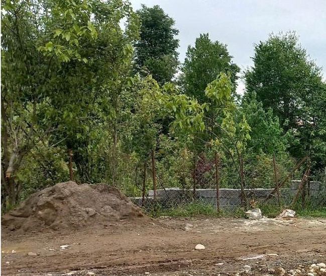 پیشنهاد خرید باغ مرکبات در روستای تقی آبادهراتبر شهسوار