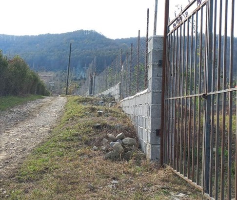 پیشنهاد خرید باغ مرکبات در روستای تقی آبادهراتبر شهسوار