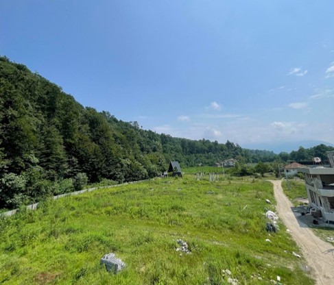 زمین شهرکی و جنگلی220 متری فروشی در لتاک تنکابن(شهسوار) ابتدای جاده دو هزار