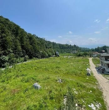 زمین شهرکی و جنگلی220 متری فروشی در لتاک تنکابن(شهسوار) ابتدای جاده دو هزار