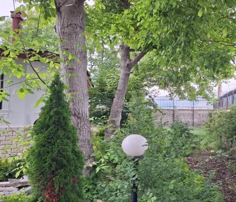 باغ ویلا فروشی 560 متر زمین در کلاردشت مازندران