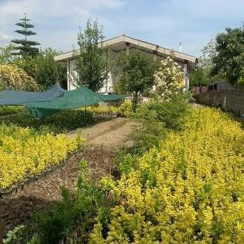 باغ ویلا فروشی 562 متری در جاده دو هزار تنکابن(شهسوار)