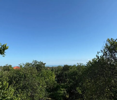 باغ ویلا فروشی، فلت(یک طبقه) در چابکسر 1500 متر زمین ،معاوضه(تهاتر) با ملک 