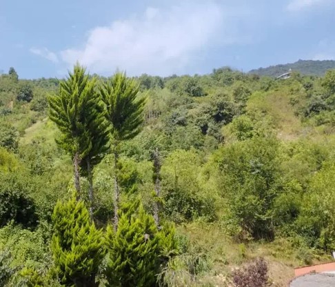 اجاره کلبه جنگلی سوئیسی نوساز آهوان در تنکابن (شهسوار)