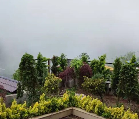 ویلای جنگلی فروشی واقع در جاده دو هزار تنکابن(شهسوار)، معاوضه با آپارتمان  