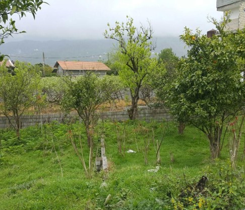 پیشنهاد خرید زمین 200متری با کاربری مسکونی تنکابن(شهسوار) جاده دوهزار