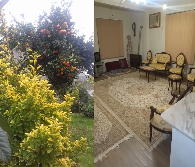 پیشنهاد خرید باغ ویلای 800 متری با 150 متر بنا در تنکابن(شهسوار)