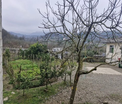 ویلا کلنگی(قدیمی) فروشی 850 متر زمین جاده(جنگل) دو هزار تنکابن(شهسوار)