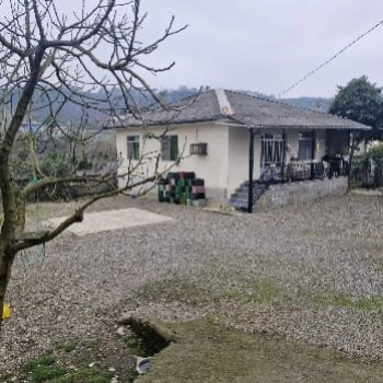 ویلا کلنگی(قدیمی) فروشی 850 متر زمین جاده(جنگل) دو هزار تنکابن(شهسوار)