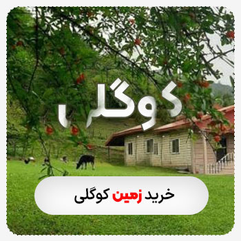 زمین کوگلی(فروش)